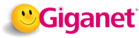 Giganet Global